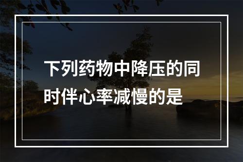 下列药物中降压的同时伴心率减慢的是