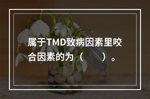 属于TMD致病因素里咬合因素的为（　　）。