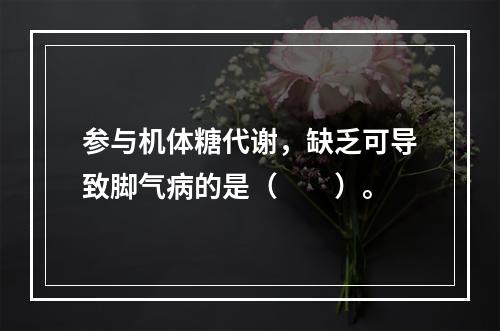 参与机体糖代谢，缺乏可导致脚气病的是（　　）。