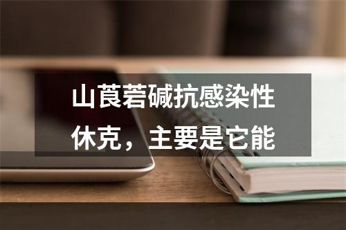 山莨菪碱抗感染性休克，主要是它能