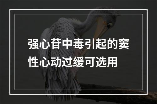 强心苷中毒引起的窦性心动过缓可选用