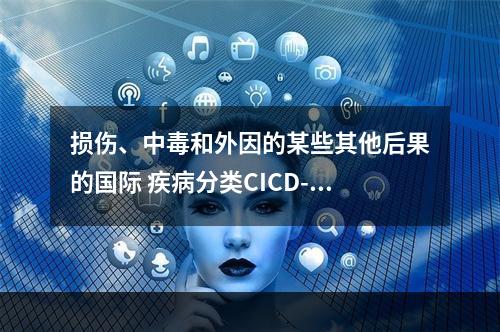 损伤、中毒和外因的某些其他后果的国际 疾病分类CICD-10