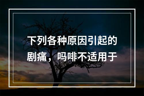 下列各种原因引起的剧痛，吗啡不适用于