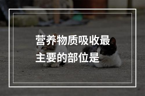 营养物质吸收最主要的部位是