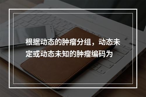 根据动态的肿瘤分组，动态未定或动态未知的肿瘤编码为