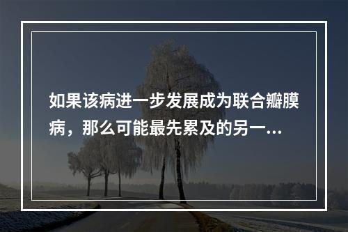 如果该病进一步发展成为联合瓣膜病，那么可能最先累及的另一个瓣