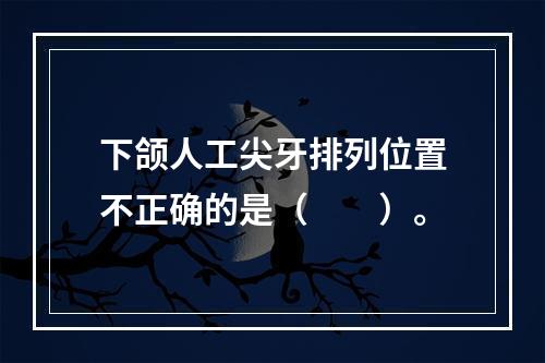 下颌人工尖牙排列位置不正确的是（　　）。