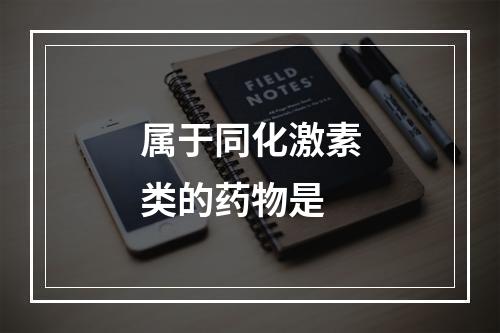 属于同化激素类的药物是