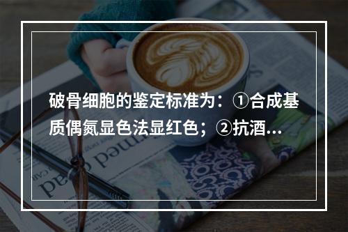 破骨细胞的鉴定标准为：①合成基质偶氮显色法显红色；②抗酒石酸