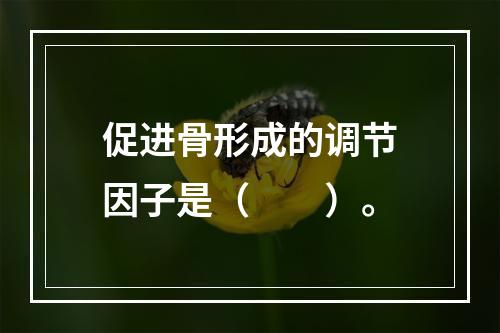 促进骨形成的调节因子是（　　）。