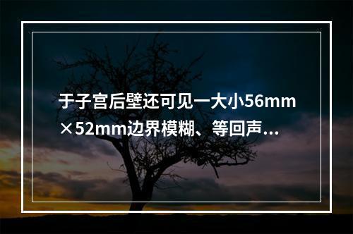 于子宫后壁还可见一大小56mm×52mm边界模糊、等回声不均