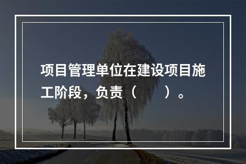 项目管理单位在建设项目施工阶段，负责（　　）。