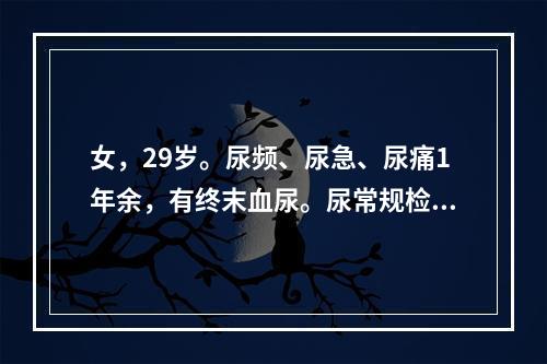 女，29岁。尿频、尿急、尿痛1年余，有终末血尿。尿常规检查：