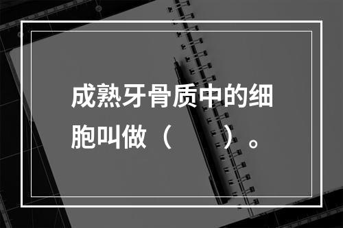 成熟牙骨质中的细胞叫做（　　）。