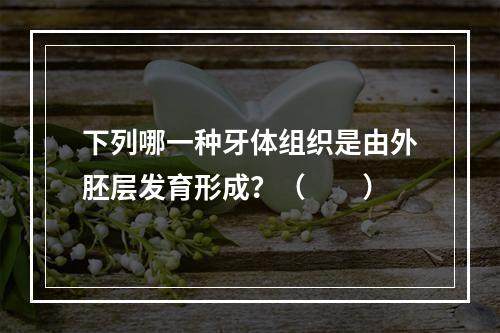 下列哪一种牙体组织是由外胚层发育形成？（　　）