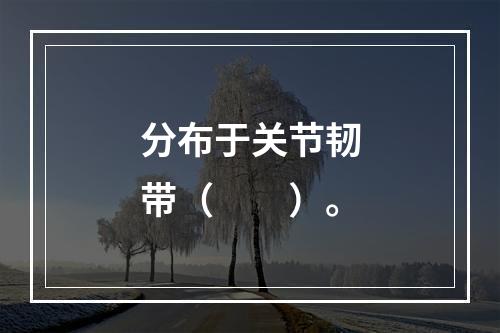 分布于关节韧带（　　）。