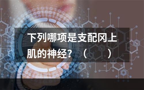 下列哪项是支配冈上肌的神经？（　　）