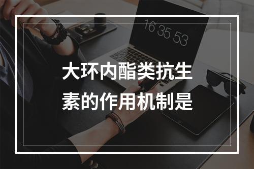 大环内酯类抗生素的作用机制是