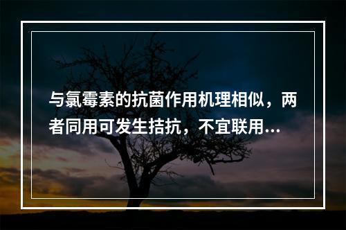 与氯霉素的抗菌作用机理相似，两者同用可发生拮抗，不宜联用的是