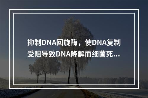 抑制DNA回旋酶，使DNA复制受阻导致DNA降解而细菌死亡的