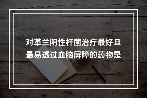 对革兰阴性杆菌治疗最好且最易透过血脑屏障的药物是