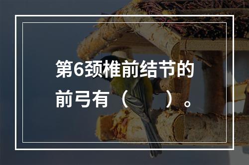 第6颈椎前结节的前弓有（　　）。