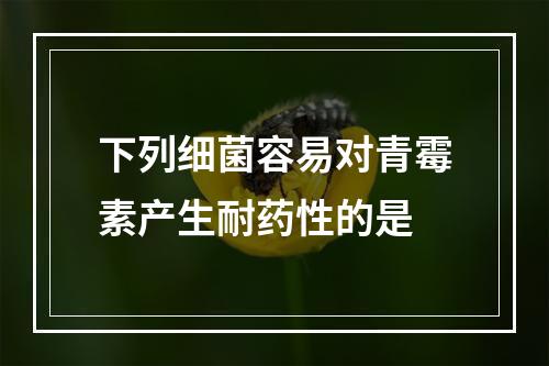 下列细菌容易对青霉素产生耐药性的是