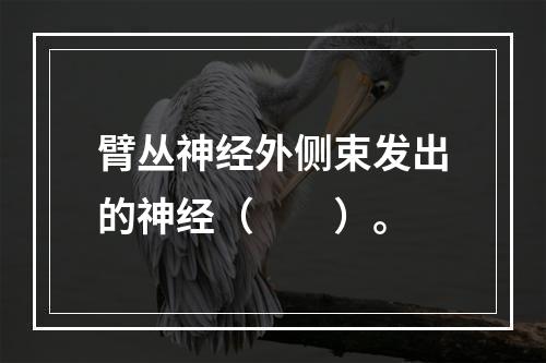 臂丛神经外侧束发出的神经（　　）。