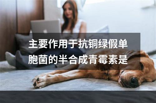 主要作用于抗铜绿假单胞菌的半合成青霉素是