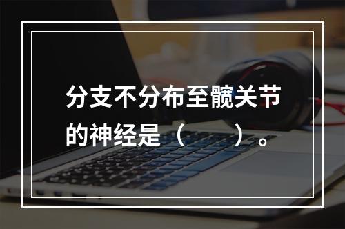 分支不分布至髋关节的神经是（　　）。