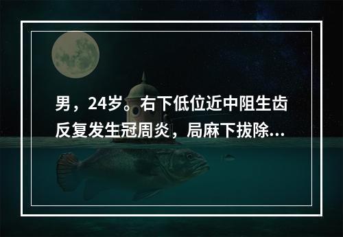 男，24岁。右下低位近中阻生齿反复发生冠周炎，局麻下拔除。术