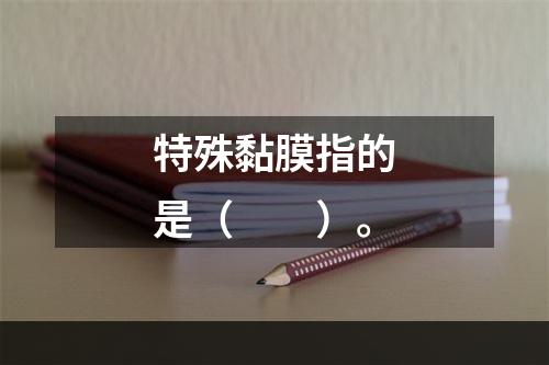 特殊黏膜指的是（　　）。