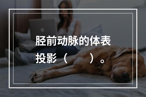 胫前动脉的体表投影（　　）。