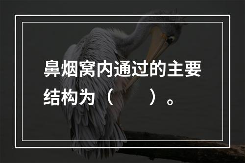 鼻烟窝内通过的主要结构为（　　）。