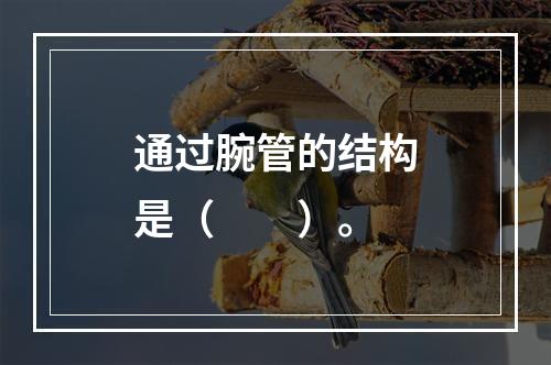 通过腕管的结构是（　　）。