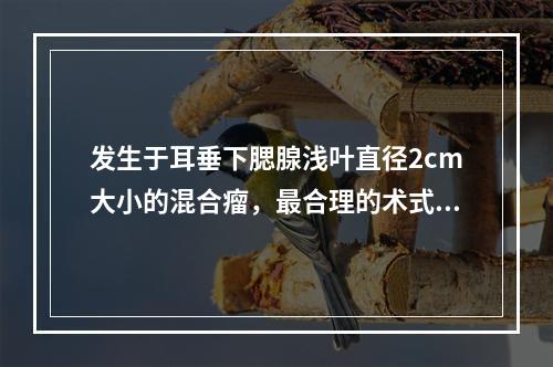 发生于耳垂下腮腺浅叶直径2cm大小的混合瘤，最合理的术式是（