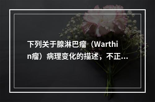 下列关于腺淋巴瘤（Warthin瘤）病理变化的描述，不正确的