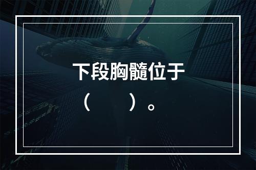 下段胸髓位于（　　）。