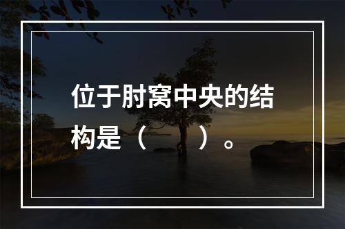 位于肘窝中央的结构是（　　）。