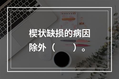 楔状缺损的病因除外（　　）。