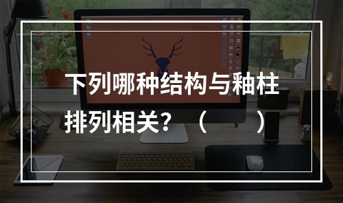 下列哪种结构与釉柱排列相关？（　　）