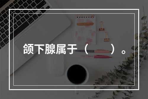 颌下腺属于（　　）。