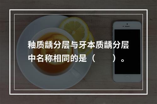 釉质龋分层与牙本质龋分层中名称相同的是（　　）。