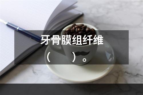 牙骨膜组纤维（　　）。