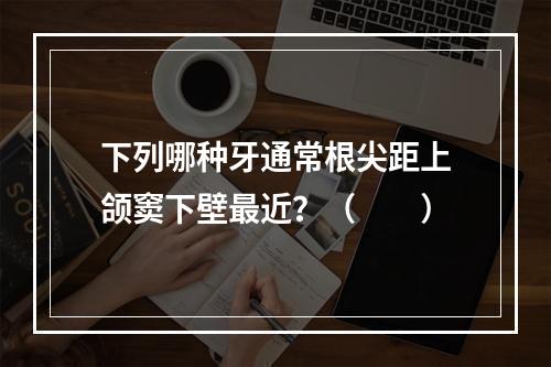 下列哪种牙通常根尖距上颌窦下壁最近？（　　）