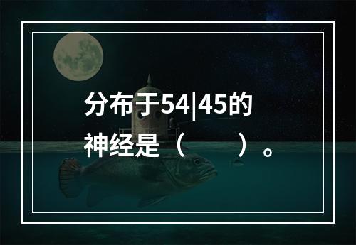 分布于54|45的神经是（　　）。