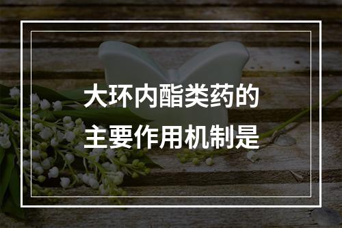 大环内酯类药的主要作用机制是