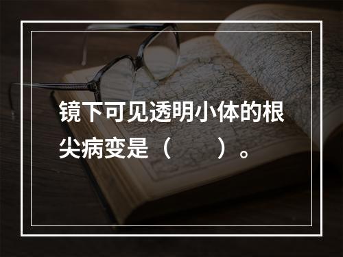 镜下可见透明小体的根尖病变是（　　）。