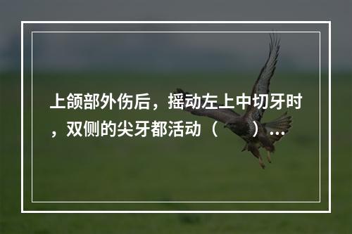 上颌部外伤后，摇动左上中切牙时，双侧的尖牙都活动（　　）。