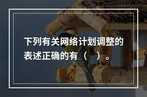 下列有关网络计划调整的表述正确的有（　）。